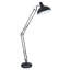 Dunmall 180cm Matte Task Floor Lamp-34909554