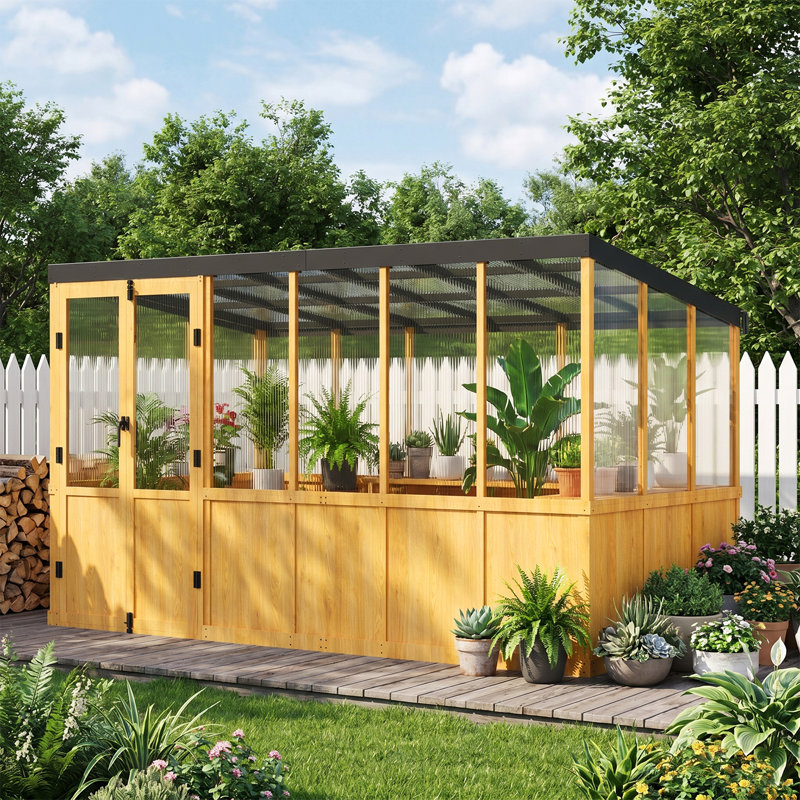 Serre extérieure en bois avec panneaux en polycarbonate et tablettes pour plantes l 6 pi x P 12 pi