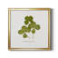 «Pressed Clover II», reproduction encadrée de qualité supérieure - prête à être accrochée-1334850718-1334850719-1334850713