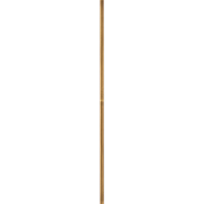 Stem