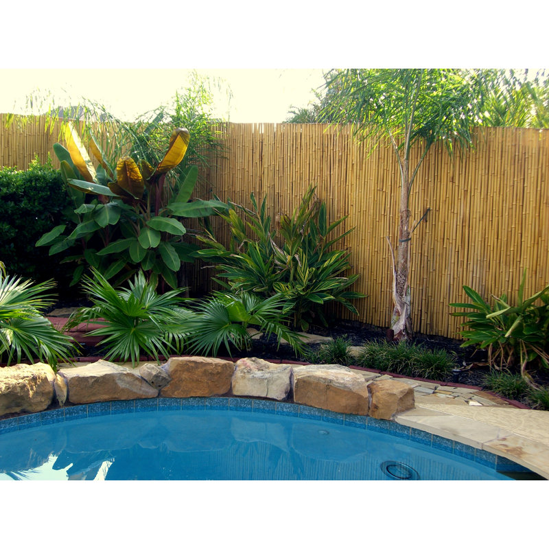 Natural Bamboo 6 ft. H x 8 ft. W Eco-Friendly Fence Panel