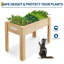 Raised Garden Bed-704824084-704824085