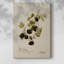 Impression sur toile encadrée-1693417391