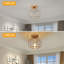 Debussy 1-Light Crystal Semi Flush Mount Ceiling Light-1027218698