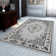 Xanthe Oriental Area Rug