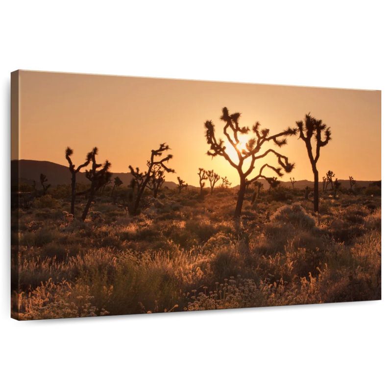 Harnek sépia Joshua Tree