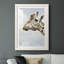 Grumpy - Photographie avec cadre photo-1107403505-1107403506