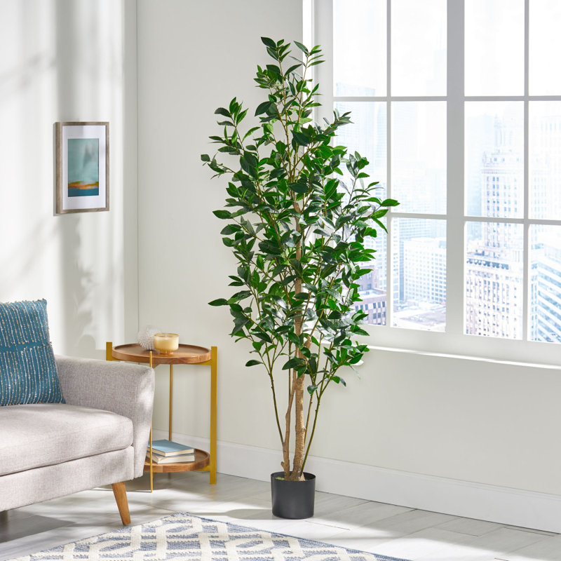 71 po Arbre de laurier artificiel, 71 po x 25 po