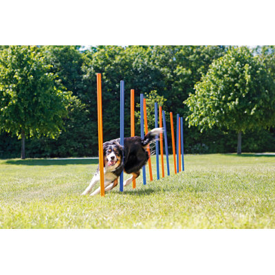 Poteaux Agility Slalom