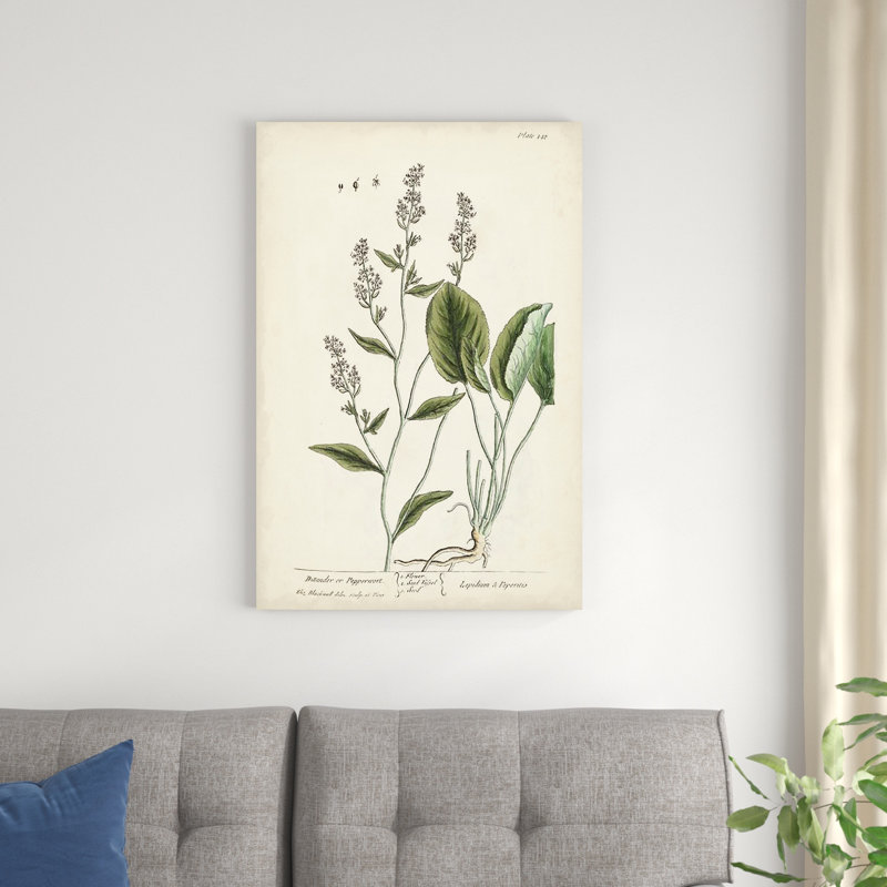 Herbes antiques V, H 36 po x l 24 po