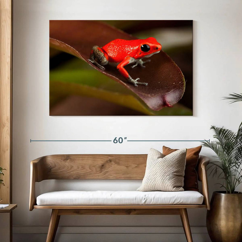 Crowle Poison Frog