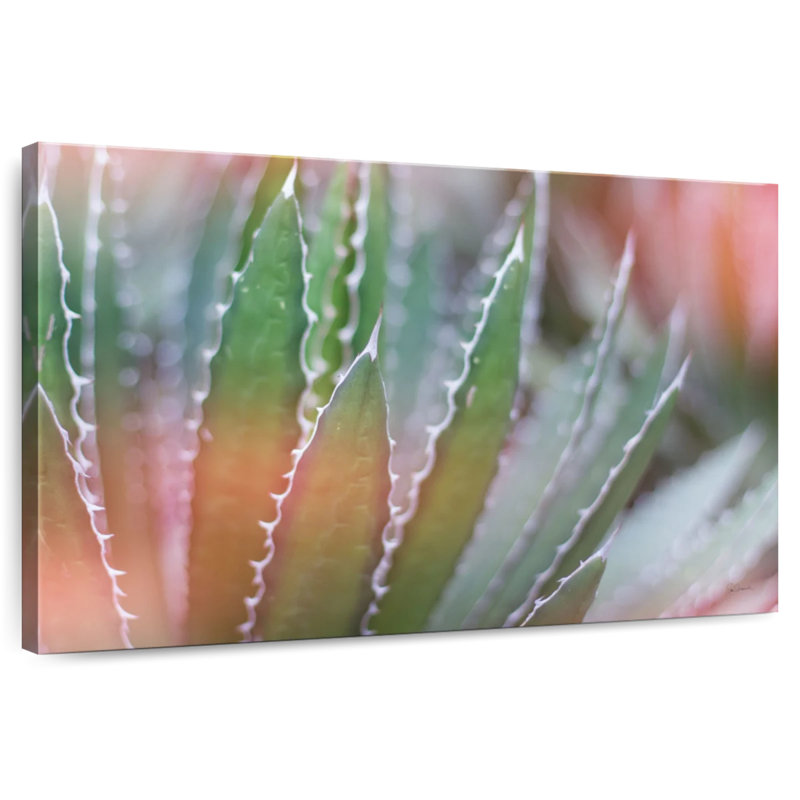Harnek Dream Desert III, H 30 po x l 45 po