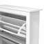 Limestone 2 Flip Door Shoe Storage Cabinet-1558974624