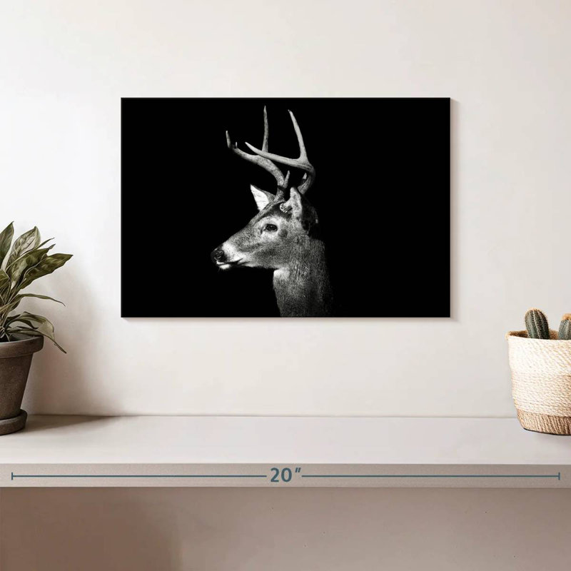 Brampt White Tailed Buck, 8" H x 12" W