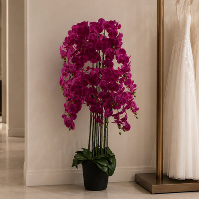 Real Touch Artificial Orchids Plastic, Silk Artificial Arrangement in Planter