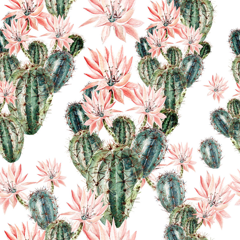 Rouleau de papier peint adhésif cactus, L 16,67 po x l 25 po