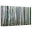 Forêt de bambous Harnek I-111984699