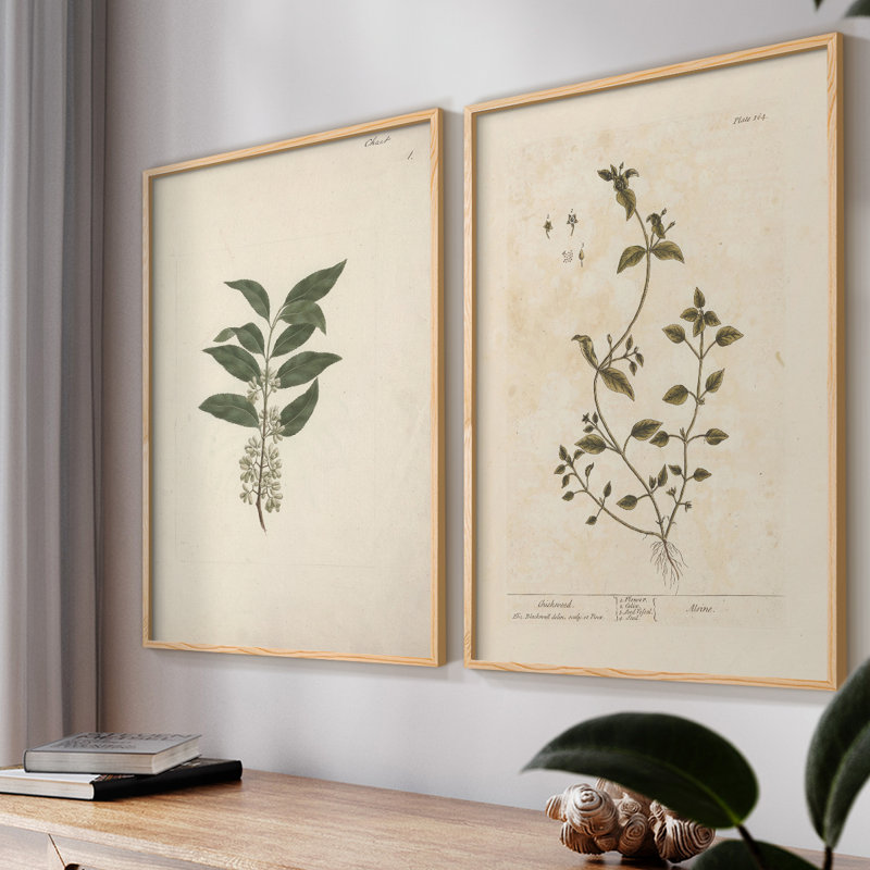 "Vintage Floral XIX" 2 pièces sur papier, Naturel, H 14 po x l 22 po