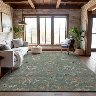 Premium Machine Washable Krause AMF1137 Global Rug