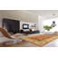 Oriental Area Rug