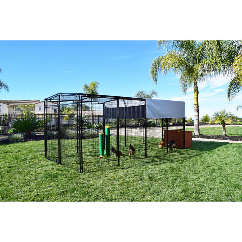 Green Plastic Elevated Poultry Waterer with Mounting System, 2-Pack