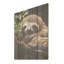 Paresseux rustique - paresseux, art sur bois de pin naturel-1833951212