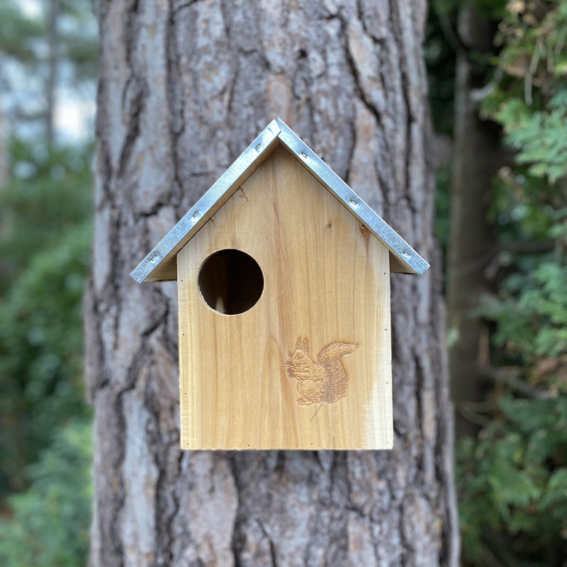 Izaguirre Mounted Squirrel House