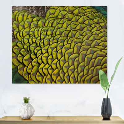 «Green Peacock Feathers II», reproduction d'art sur toile