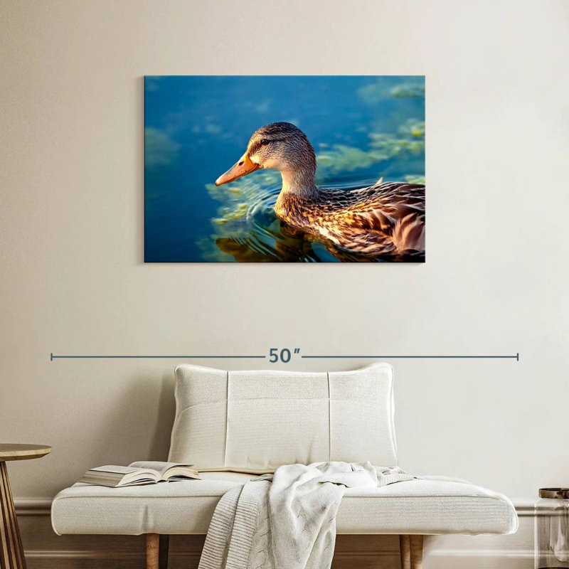 Canard colvert sur l'eau, H 24 po x l 36 po