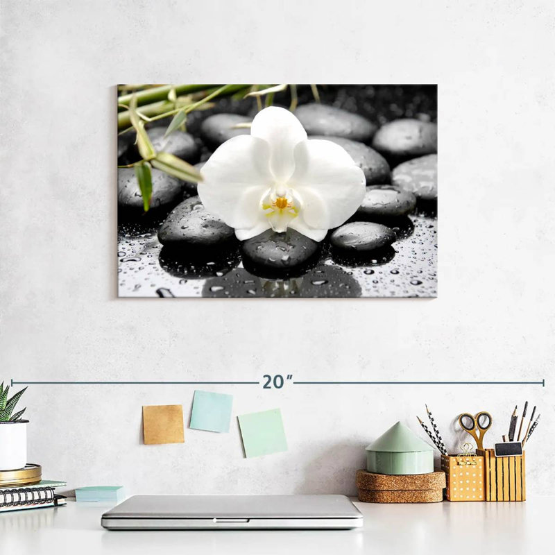 Harnek White Orchid, 8" H x 12" W