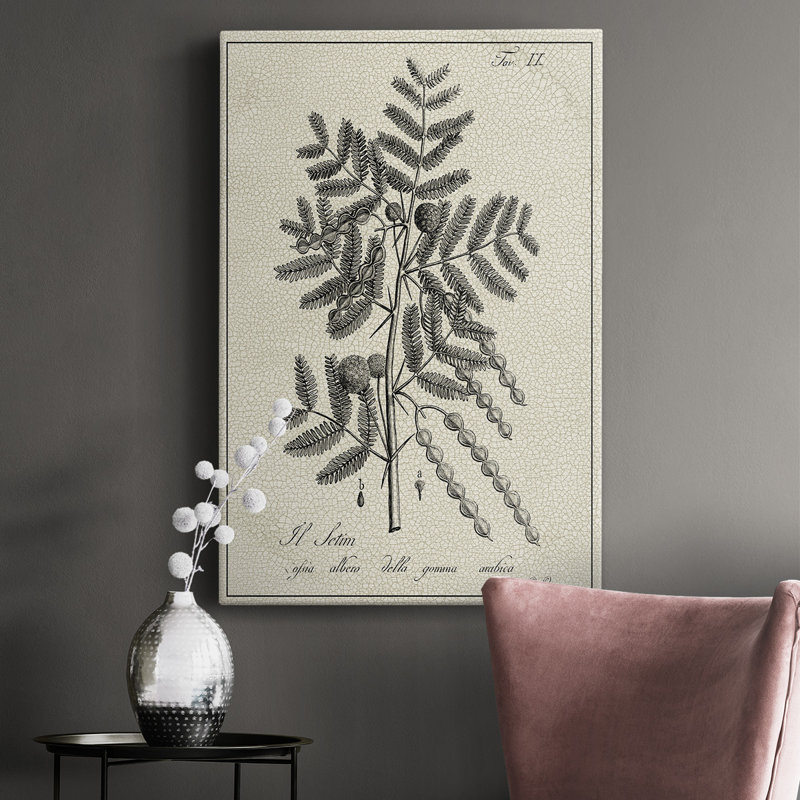 Antique Botanical I, impression sur toile tendue, L 8 po x H 12 po x P 1 po
