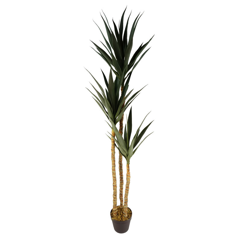 170 cm H Faux Ficus and Foliage Tree Plant in Plastic Pot Liner
