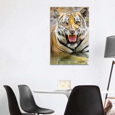 Roaring Bengal Tiger, India - Wrapped Canvas Print