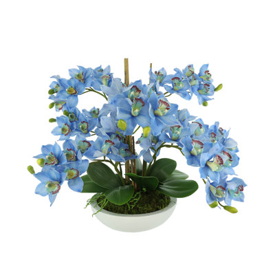 Orchids Arranged in Fiberstone Planter