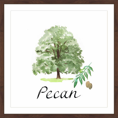 " Pecan Tree "