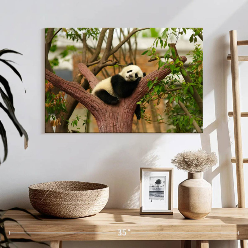 Panda endormi Brampt, H 16 po x l 24 po