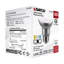 5.5 Watt Gray LED Bulb