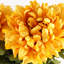 Plastic, Silk Artificial Arrangement-89222311