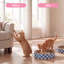 Grattoir pour chat en carton 18,13 "Emilyn-1593017011