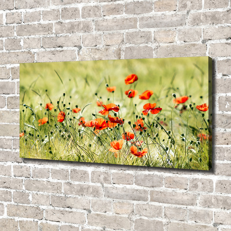 Maki - No Frame Print on Canvas