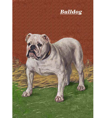 White Bulldog Graphic Art