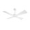 54" Outdoor Ceiling Fan 4 ABS Blades, Reversible DC Motor, 6-Speed Remote Control, Wet Rated Waterproof Ceiling Fan-White