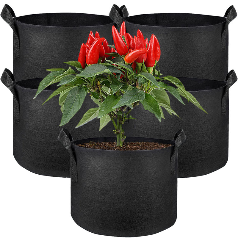 Tonecia Nursery Pot, 7.87" H x 7.87" W x 7.87" D