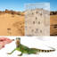 Mangeoire à insectes murale reptile dragon barbu pour lézard caméléon