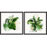 Meno Grow In Grace by Marmont Hill - 2 Piece Single Picture Frame Painting Set