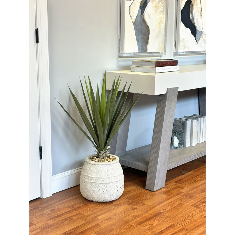 Yucca en pot de pierre avec pierres