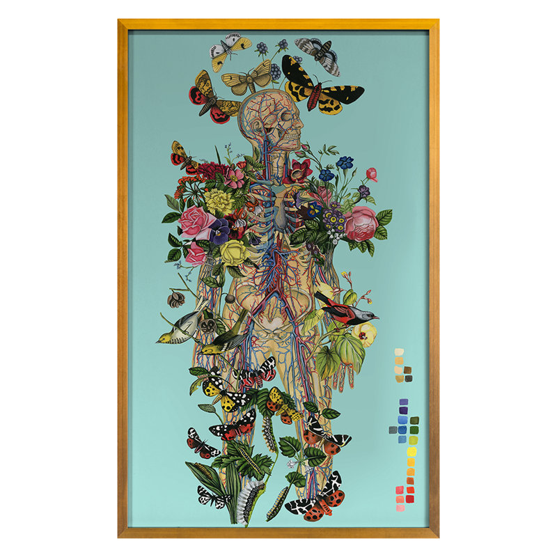 Anatomical Botanical Blue Print by Thicket Design, 38" H x 24" W