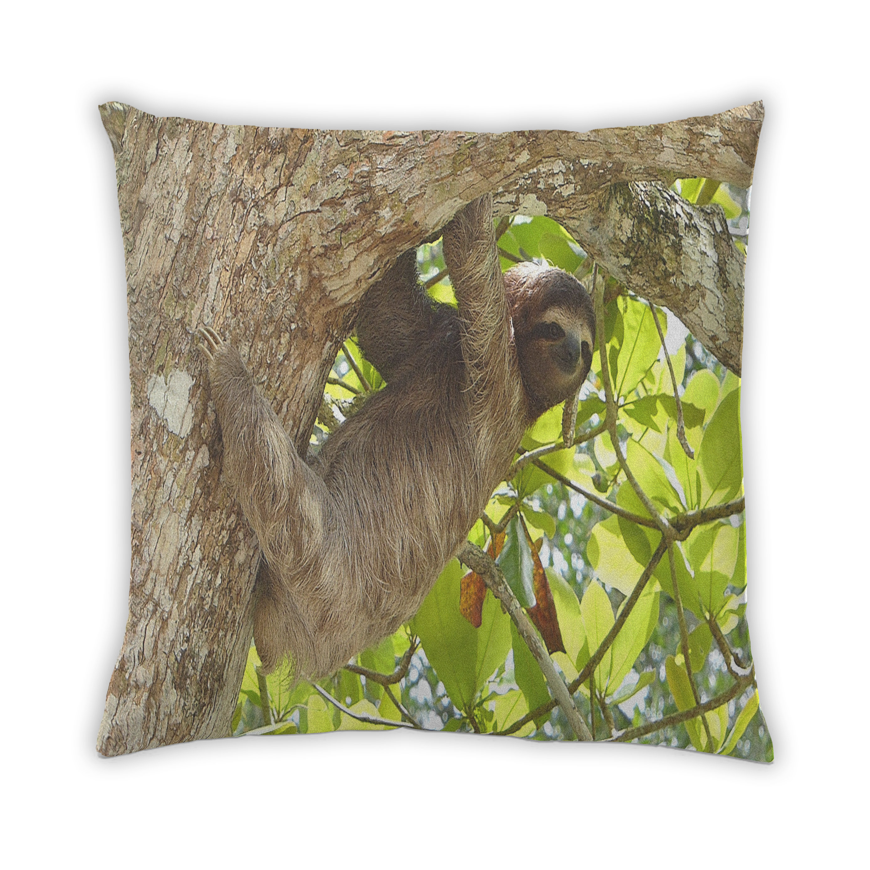 Rug Tycoon Sloth 7 Throw Pillow | Wayfair