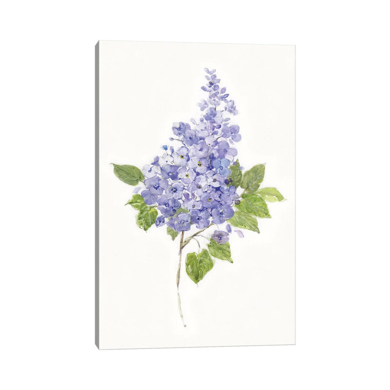 Dainty Botanical Lilac by Sally Swatland - Wrapped Canvas Painting, 101.6 cm H x 66.04 cm W x 3.175 cm D