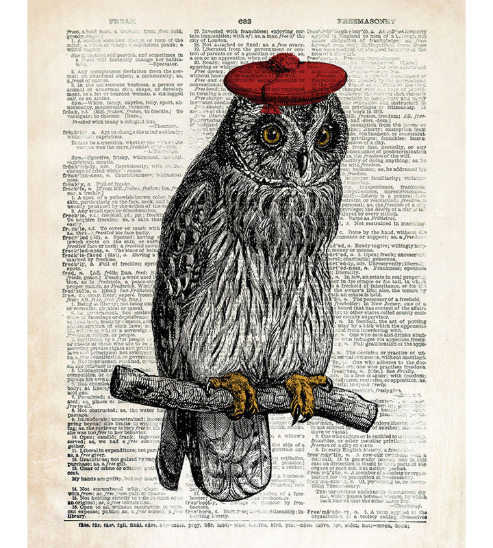 Hipster Owl Print by Michelle Bennett, Glass Coat